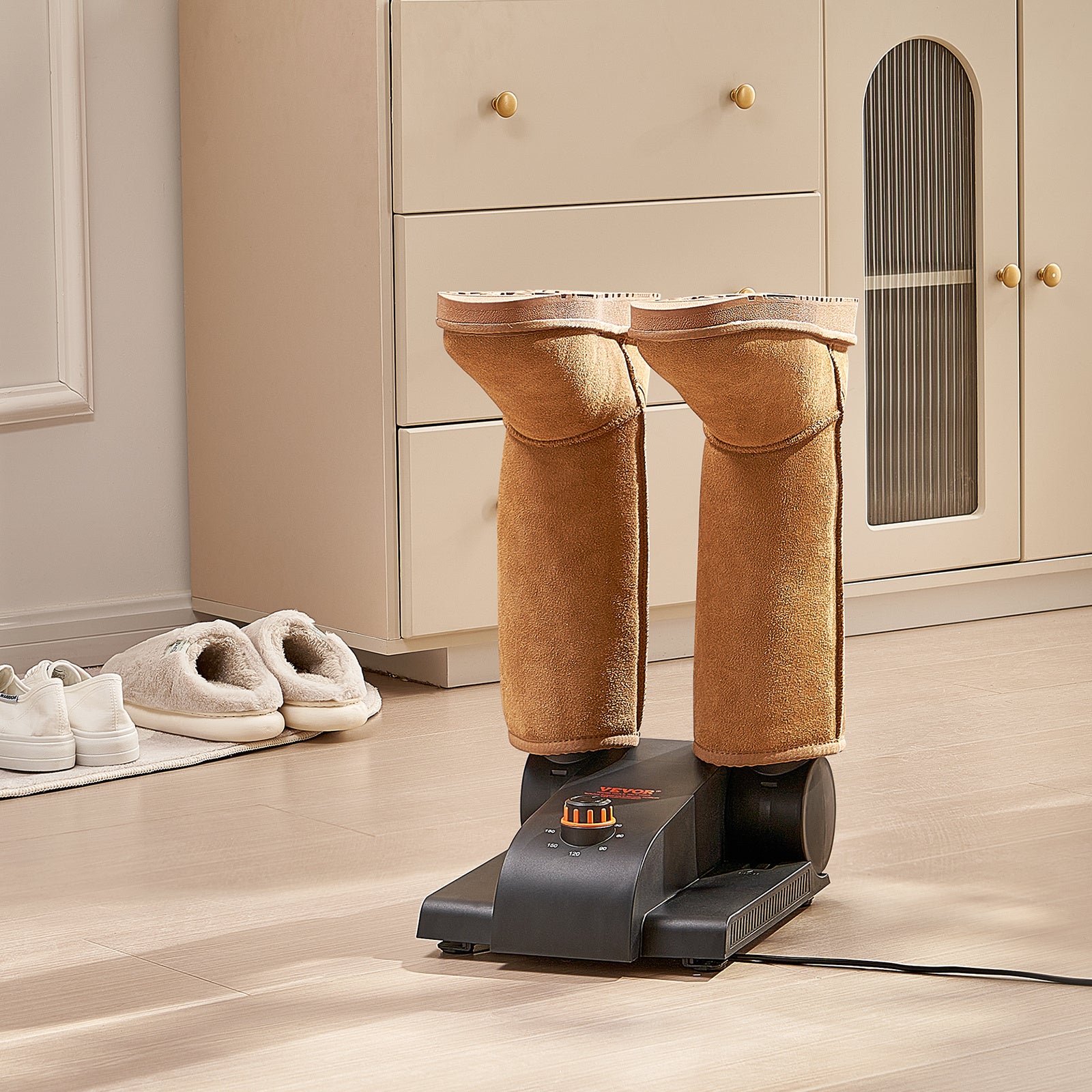 Electric Shoe Dryer